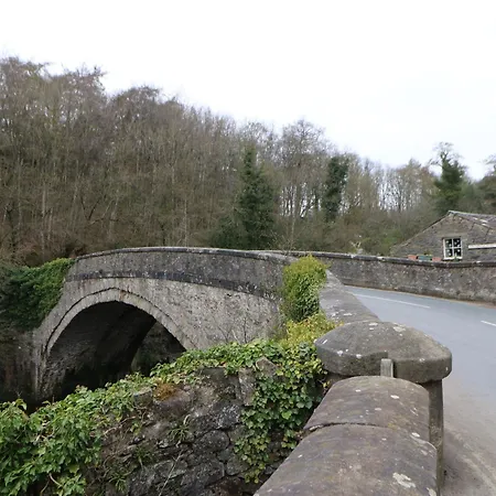 Bumblebee Σπίτι διακοπών *