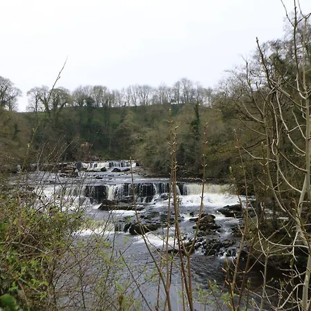 Σπίτι διακοπών Bumblebee Leyburn